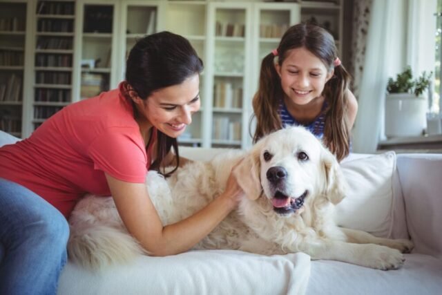family petting dog